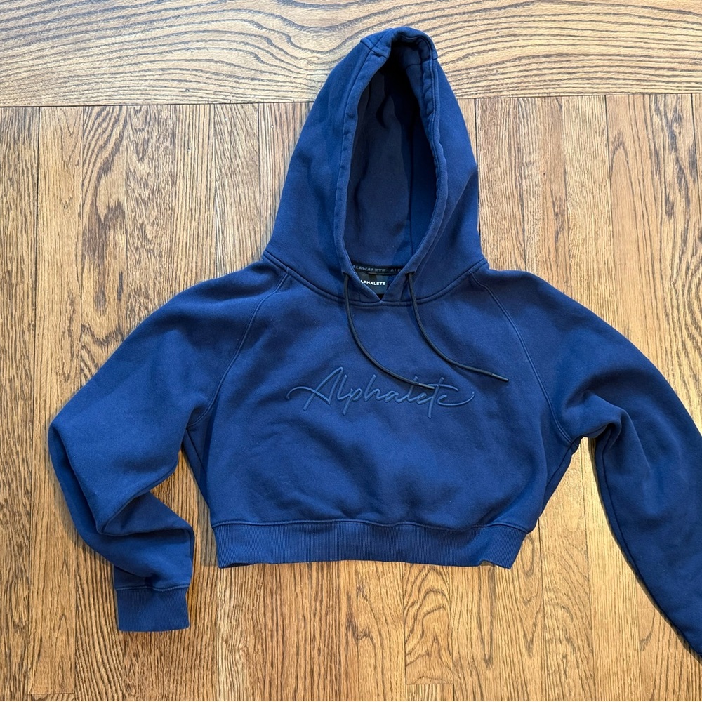 Alphalete Cropped Hoodie – Size Medium